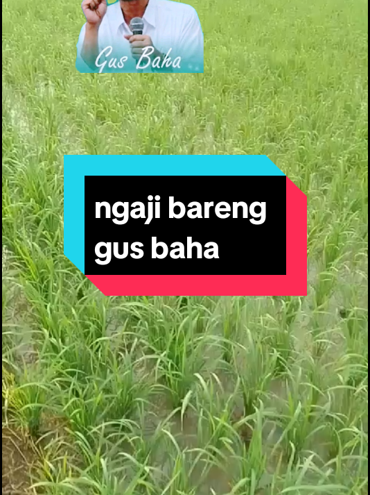 #ngajibarenggusbaha 