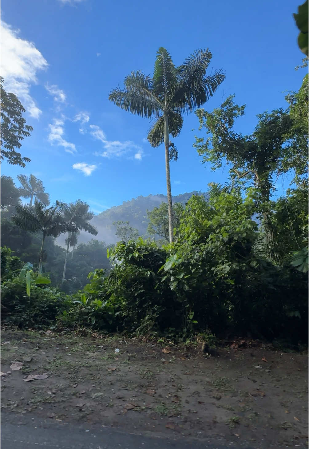 Vía a a las playas de Ocumare de la Costa en el famoso bus conocido como “el recoge loco” pura adrenalina  - #playa #cuyagua #paradise #beach #aragua #paratiiiiiiiiiiiiiiiiiiiiiiiiiiiiiii #fvpシ #surf #camping #playasdevenezuela #cata #ocumare #bahiadecata #venezuela #destino 