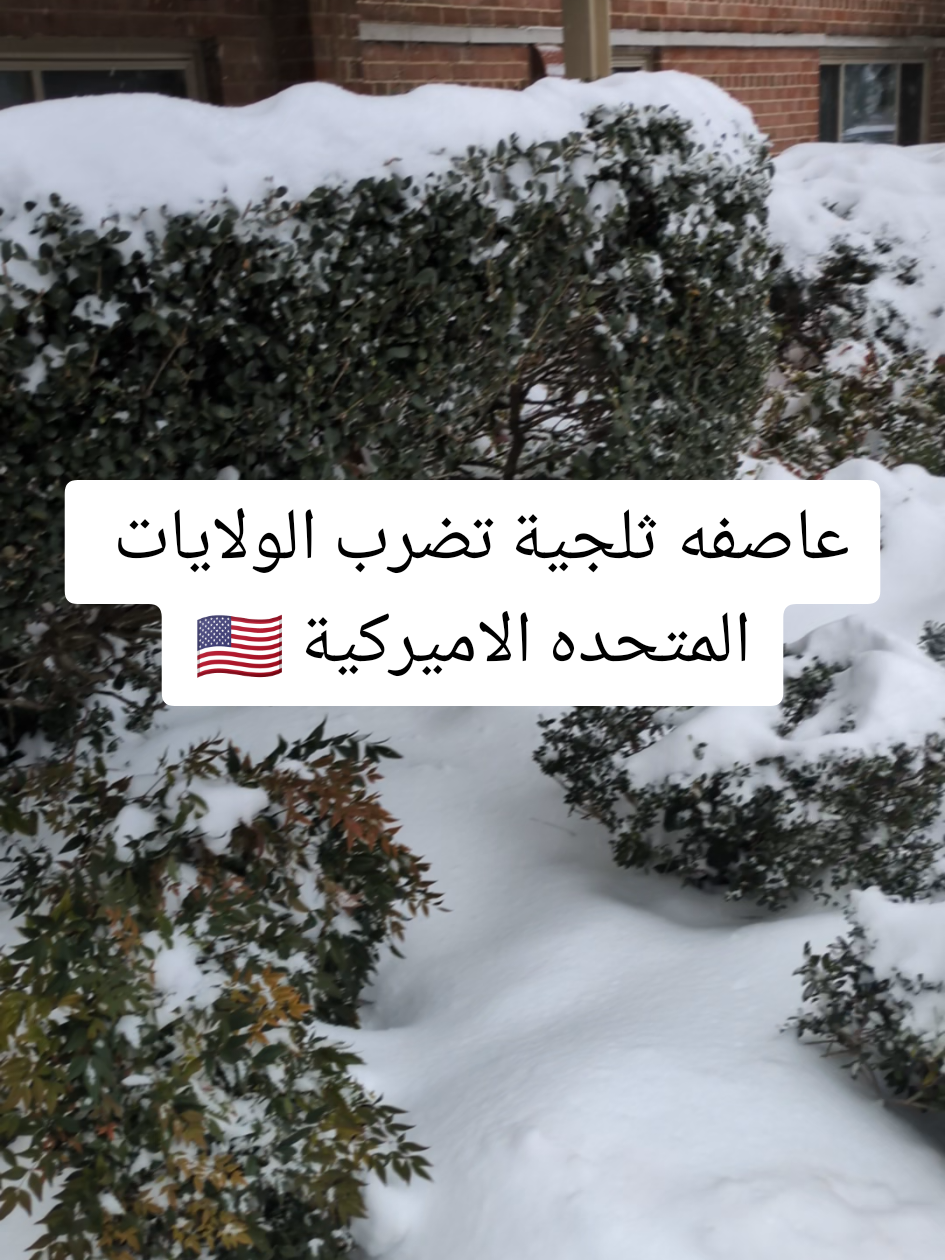 عاصفه ثلجية تضرب الولايات المتحده الاميركية 🇺🇸#عرب_امريكا #عرب_تيك_توك #امريكا_نيويورك #امريكا #امريكا_مشيغيان #امريكا_نيويورك_الولايات_المتحده #american #usa_tiktok #ArabTikTok #usatiktok #usa #امريكا🇺🇸 #امريكا 