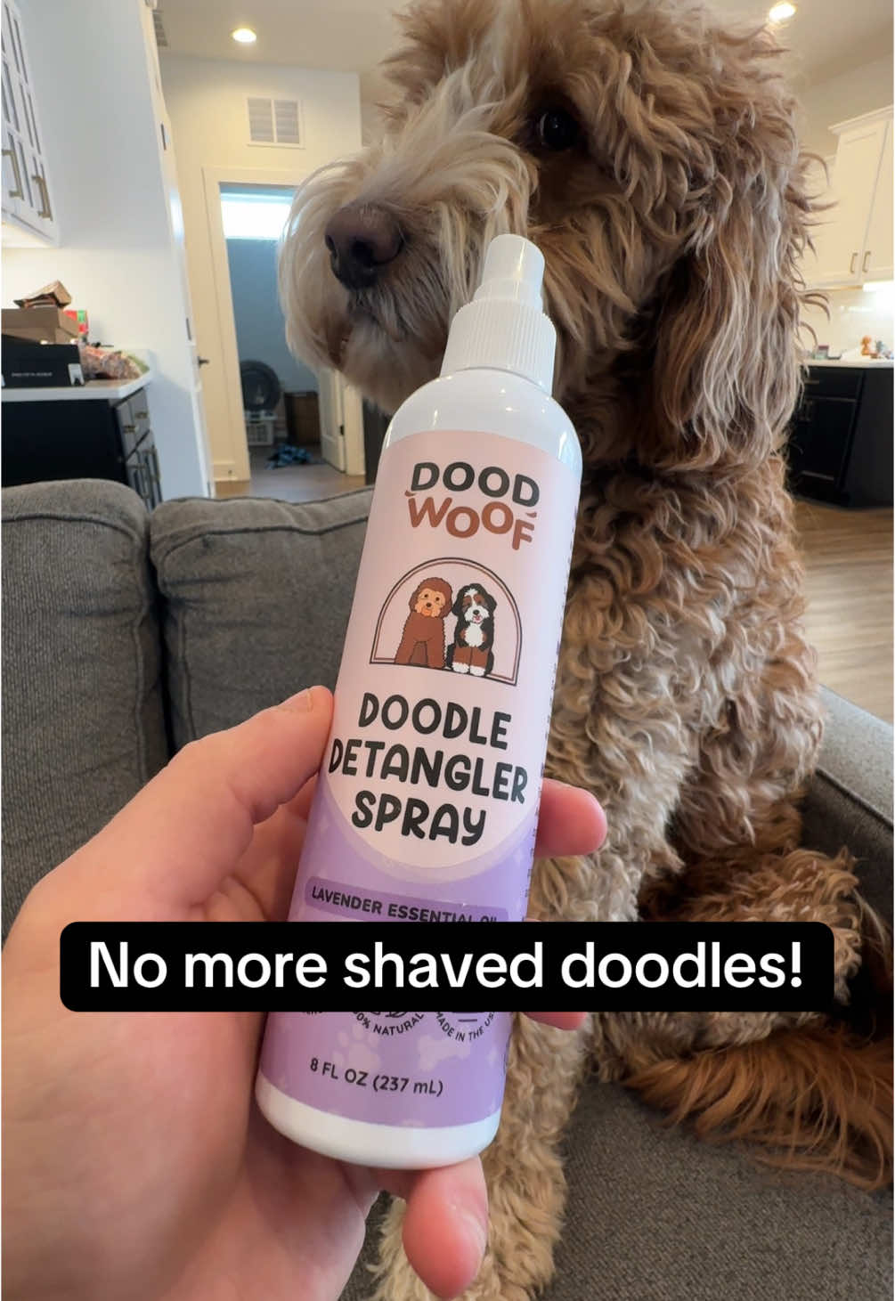 finally put an end to bubba getting shaved down at the groomer by using this doodle denagler spray to get rid of all the matted fur!  #goldendoodle #doodle #matteddog #doggrooming #doodlesoftiktok #creatorsearchinsights 