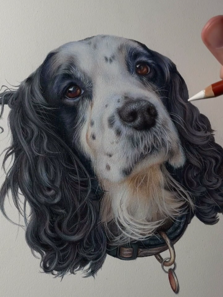 Amazing details 💖. What do you think? . By @jessicakingart . . #art #artwork #painting #realism #dogdrawing