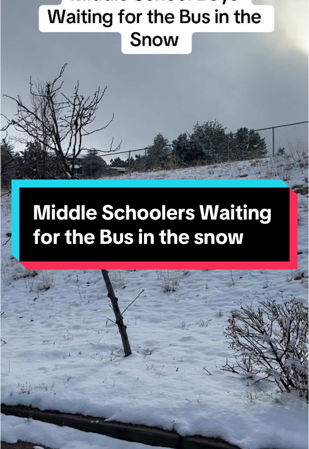 For those of you enjoying a snow day today, here’s a throwback for you! #genalpha #middleschool #middleschoolersbelike 
