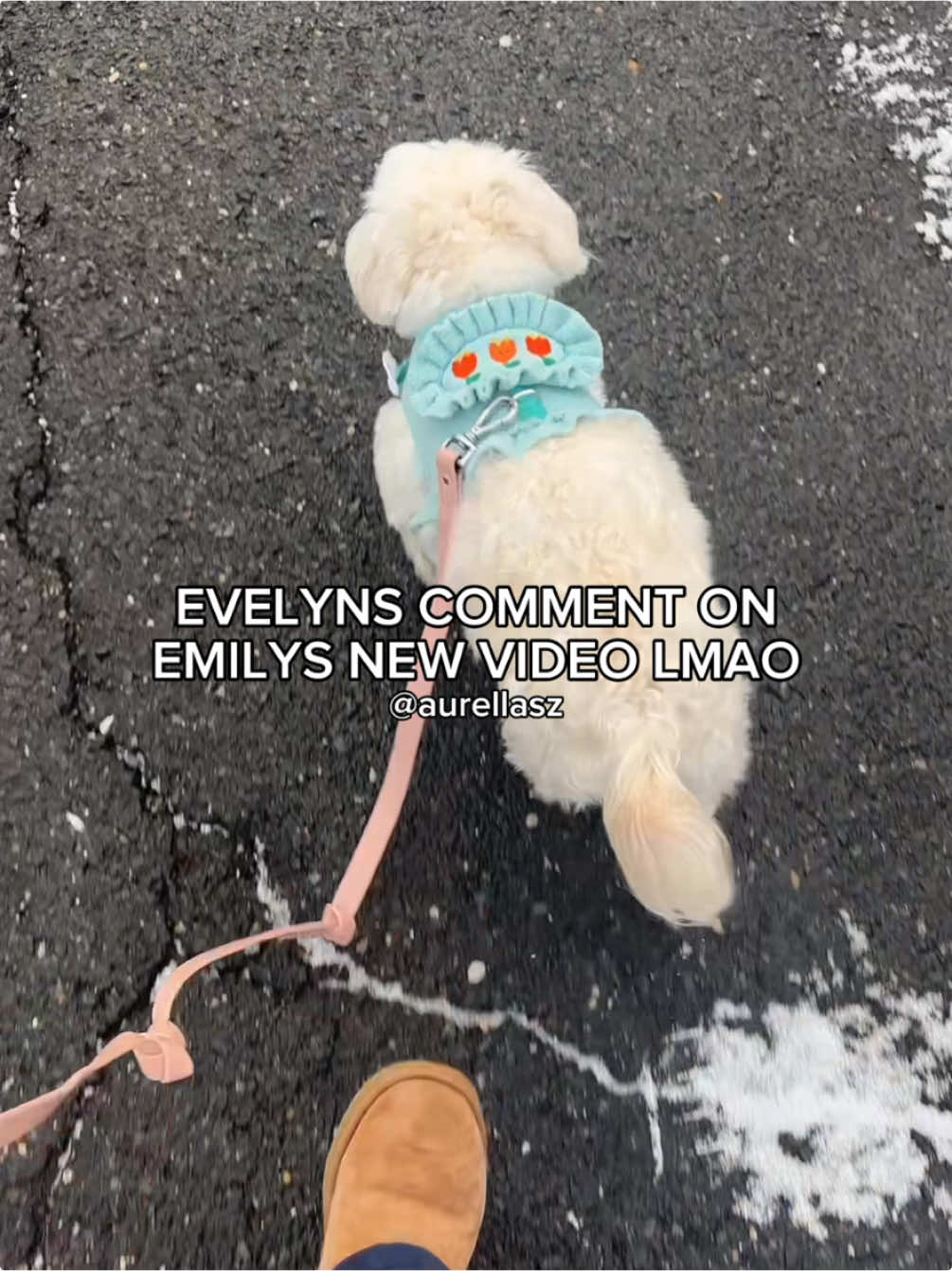 IM DYING HAHA 😭😭 #hasisters #emilyha #evelynha #ericaha #bagel #dog #viral_video #fyp #edit  @Evelyn Ha @Ericaha @Emily ha 