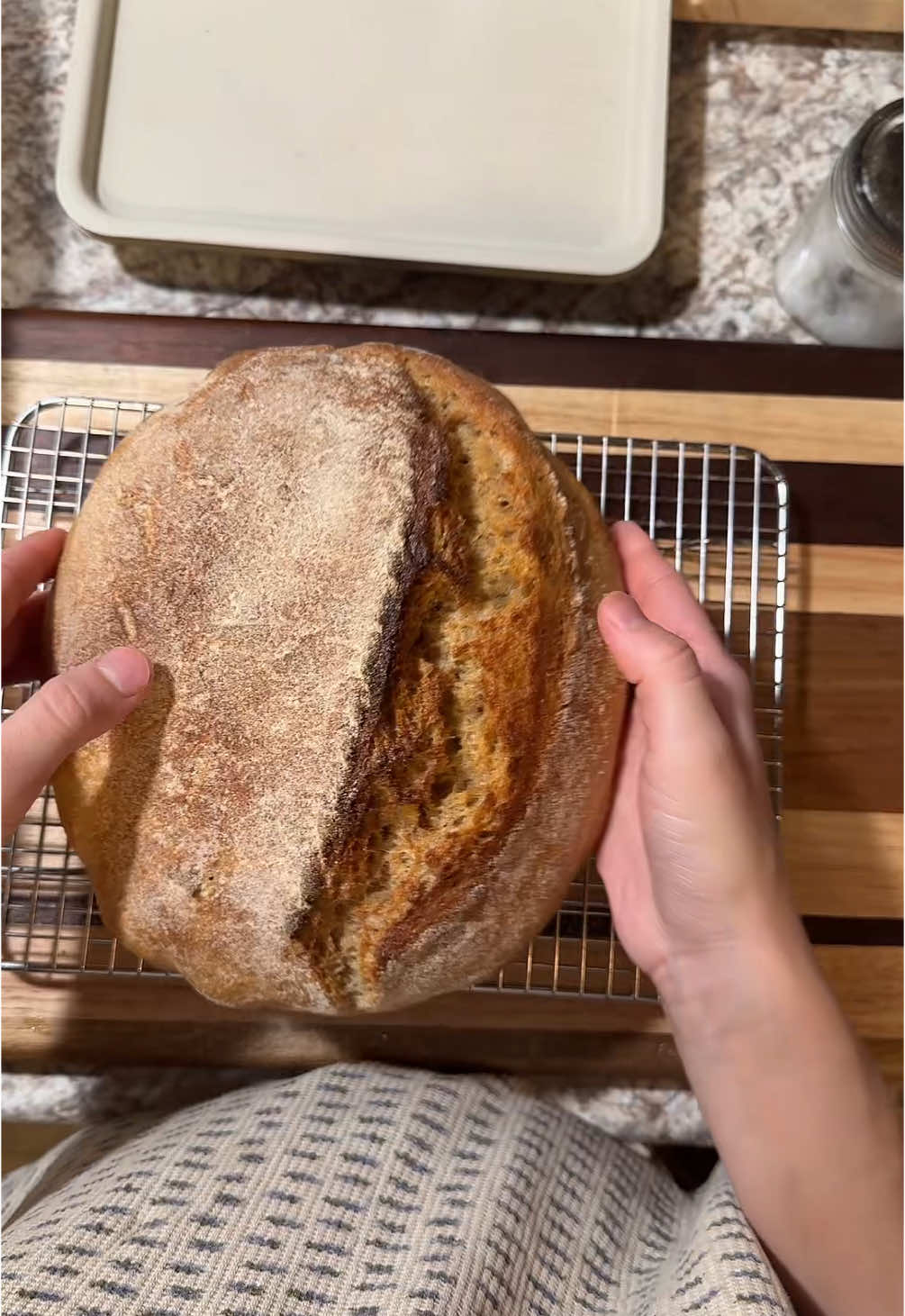 Intuitive loaf with freshly milled sourdough loaf 1 update :) #unloaf #sourdough