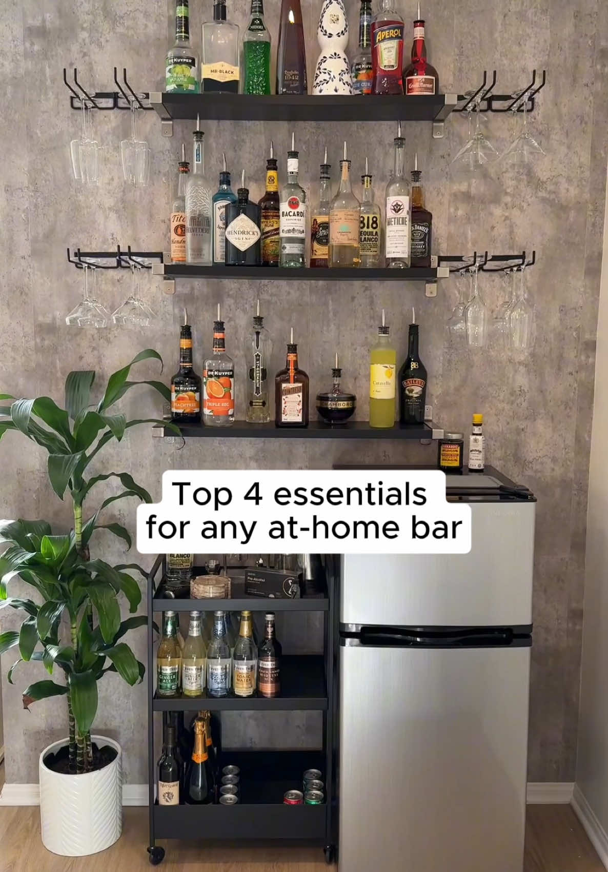 New year, new at-home bar setup.🍹🍸🥂  #zbiotics #bar 