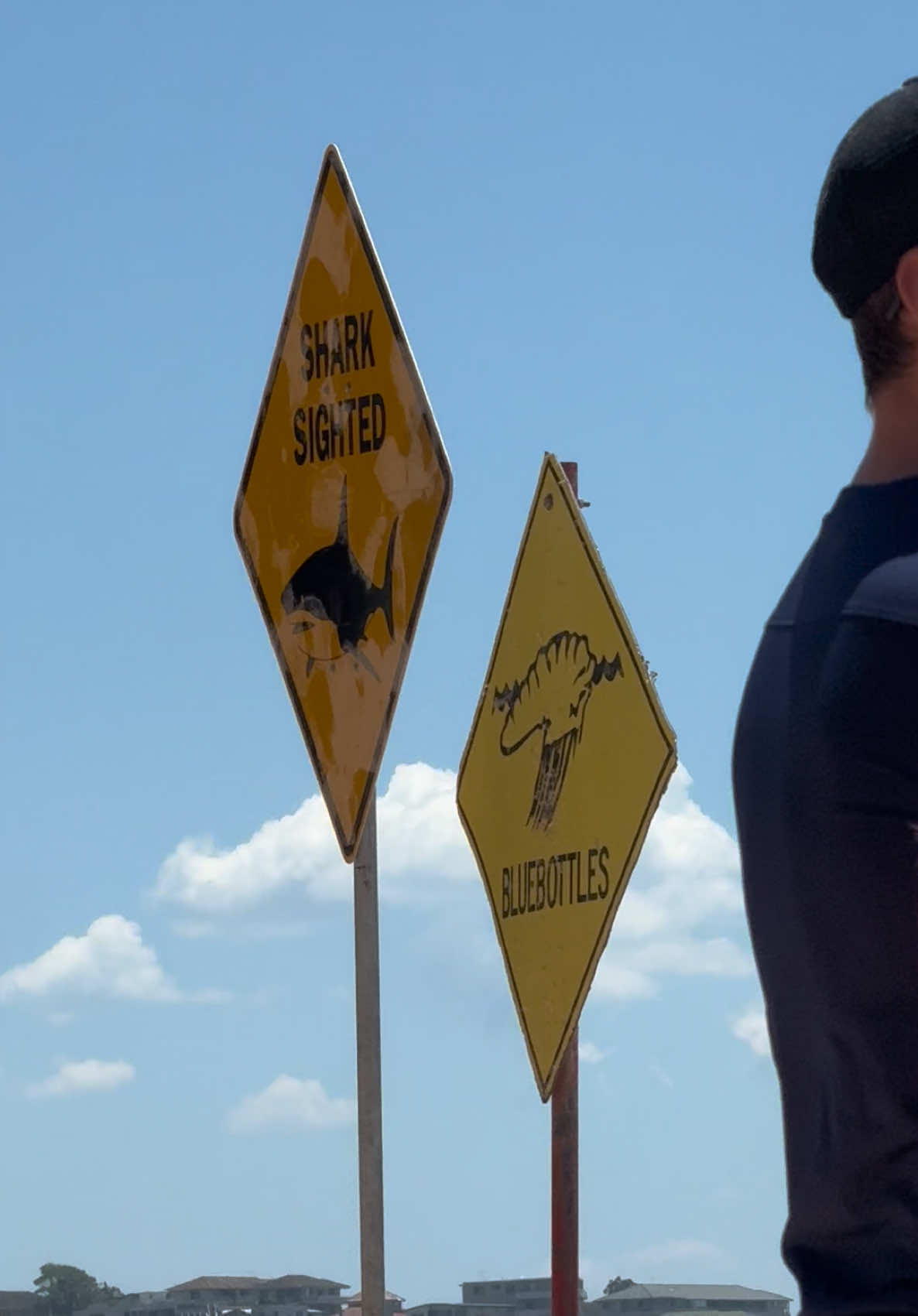 Aussies are built different because why was everyone in the water 30 minutes after a shark sighting🦈 #manlybeach #sydney #aus #australia #shark #bluebottlejellyfish #manly #cottonon #lifeguard 