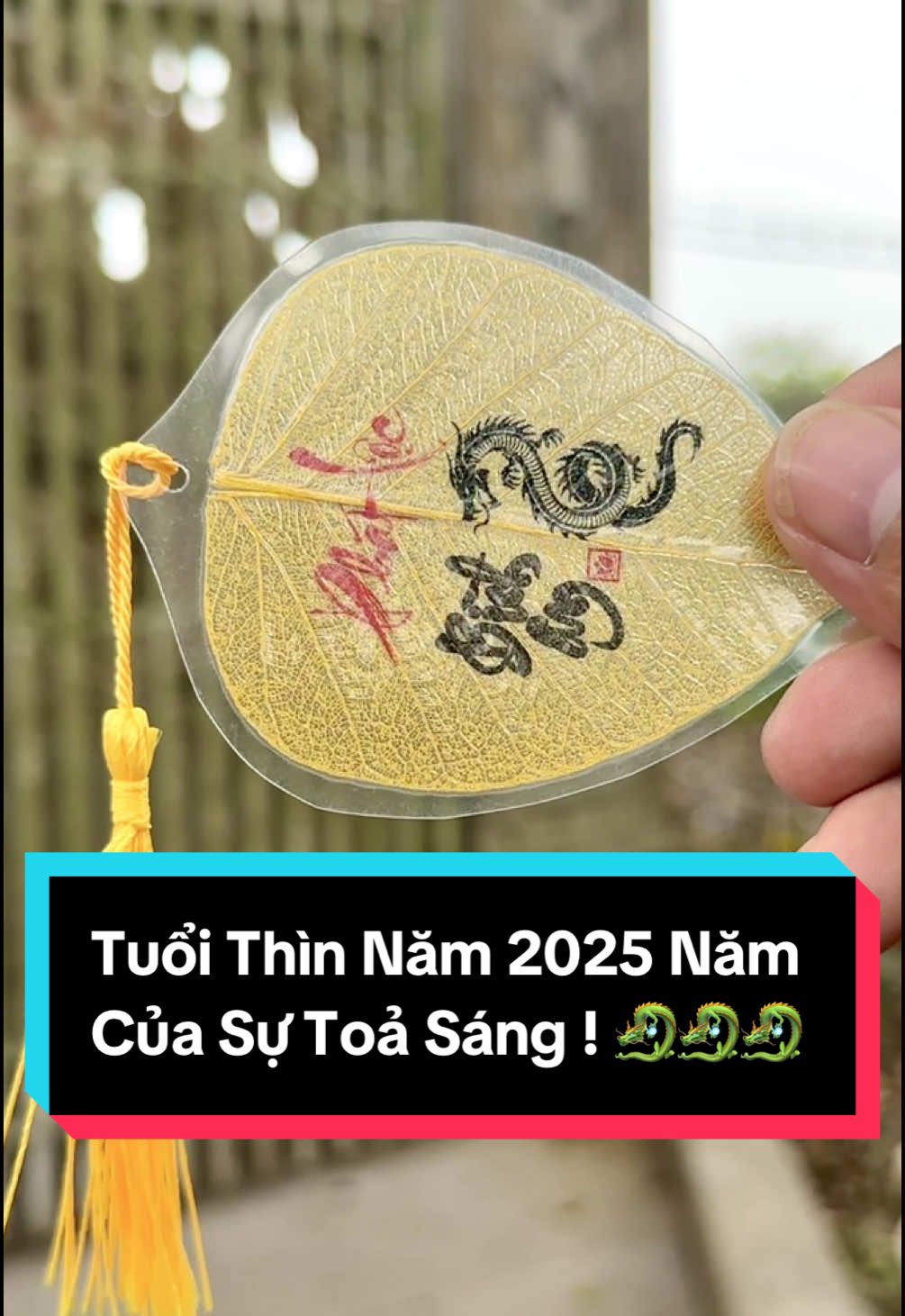 Tuổi Thìn Năm 2025 Năm Của Sự Toả Sáng ! #bodeducnguyen #labode #phongthuy #xuhuong #labode12congiap #tuoithin #rong #tuvi12congiap 