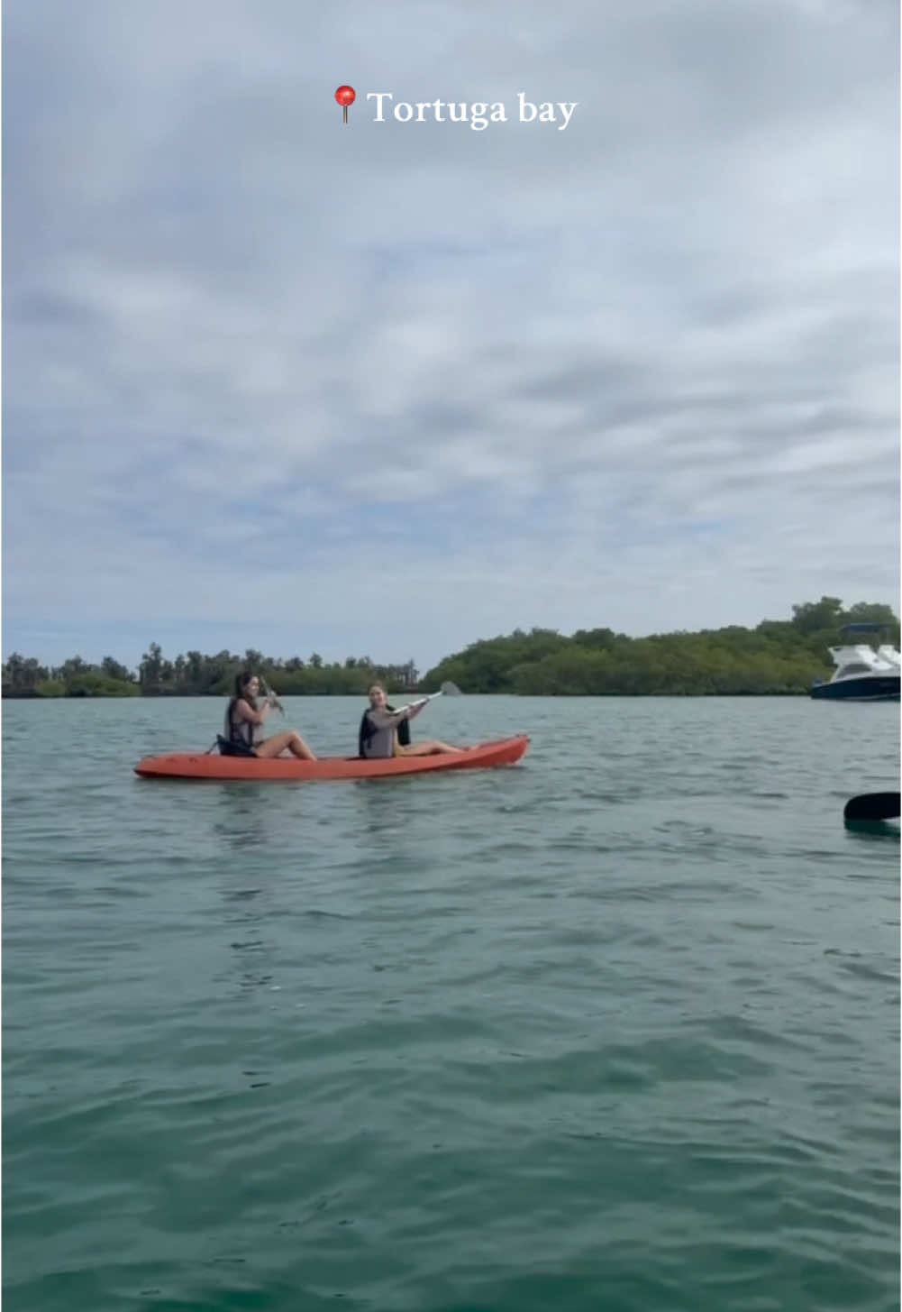 Galápagos day 2 in Santa Cruz🌺🏝️ #galapagos #vlogoftheday #ecuador #galapagosislands #fyp #travel #guayaquil #foryoupage #nature 