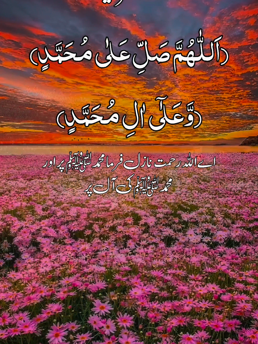 درود شریف کی خوبصورت آواز میں تلاوت اور ترجمعہ 🌹🕊️🤍🌹#القرآن الکریم 🌹🌹❤ #quran #quranicquotes #islamicreminders #islamicreelsvideo #growmyaccount  #quran #islamicquotes #quran #foryou #longervideos  #quran_kareem #quranrecitation #islamicreminder #quranonline786@🖋📖🥀اِقۡرَأ🥀📖🖋 