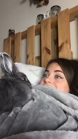 Rabbit copying its owner 😅