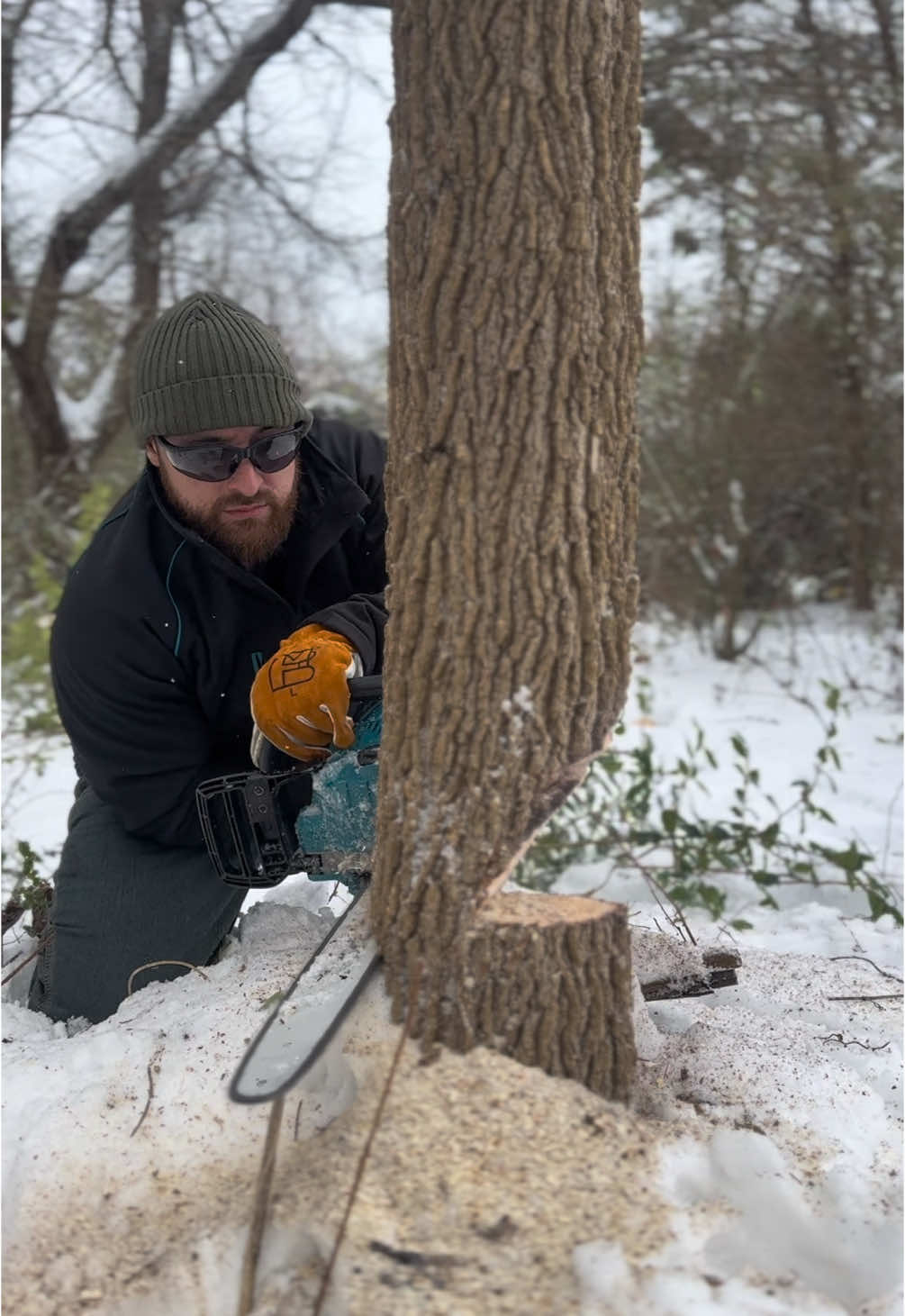 I think chainsaws are my favorite tool 😂 @Makita Tools USA #makitatools #makitachainsaw #40V #makita #fyp #fypシ #fypシ゚viral #snow #winter #work #working #snowing #tools #battery #batterypowered 