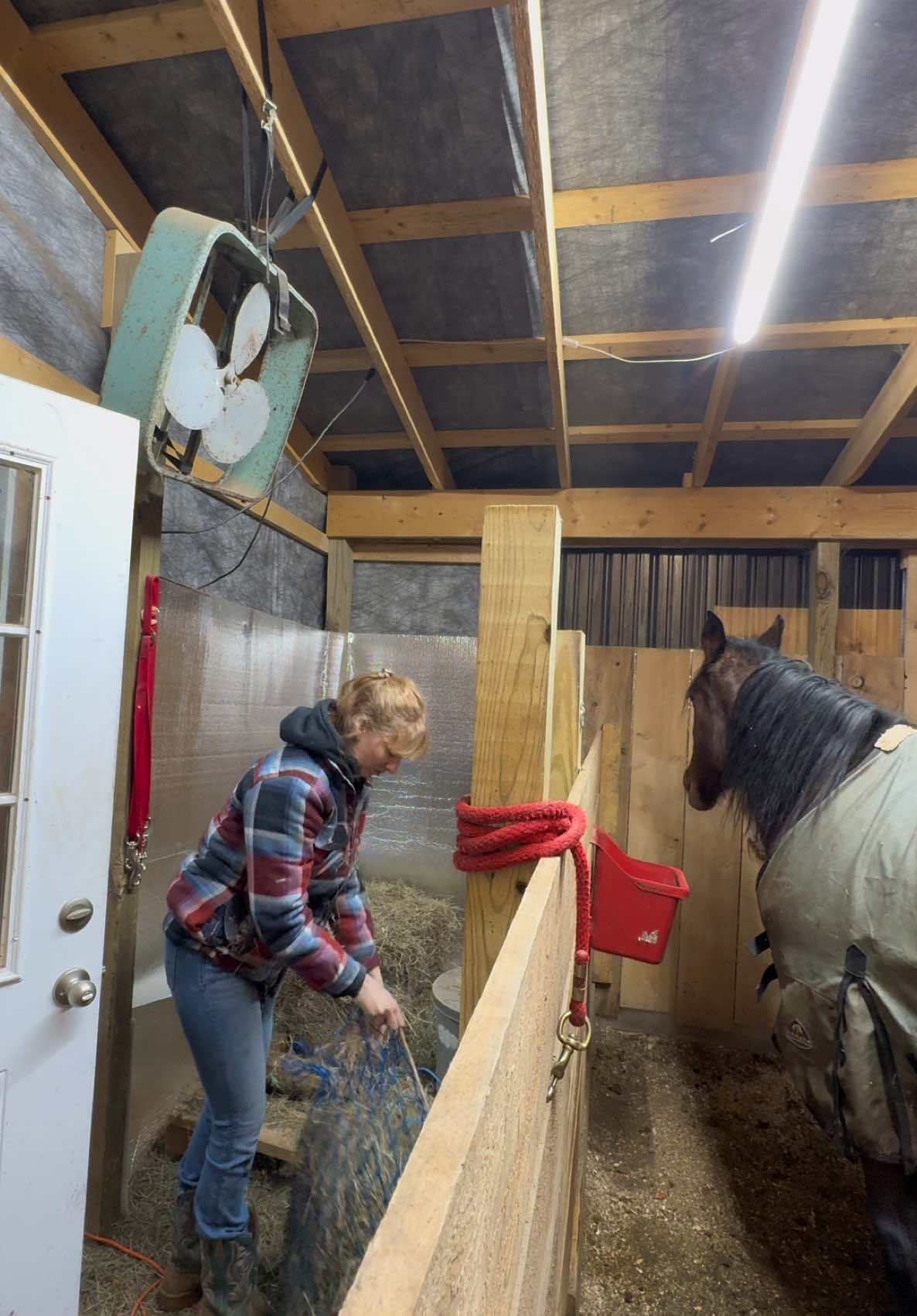 this man really tried to steal her food🙄 #horses #comewithme #fyp #feedingtime #gelding #trending