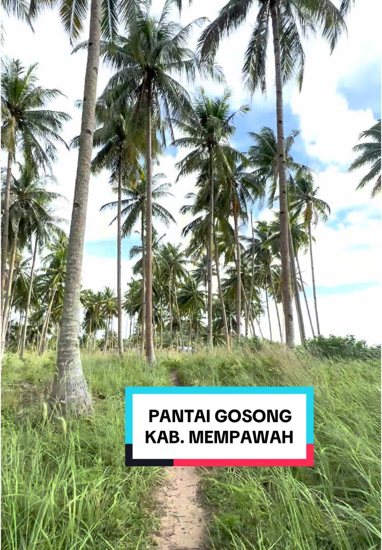 Pantai yang tidak menarik bagi sebagian orang namun menarik bagi penikmat kesunyian #pantaigosong #mempawah #pontianakpantai #kalimantanbarat 