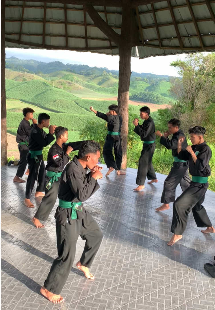 Ngampil sound e kang @zusky16 🙏@pagarnusablitar  #pagarnusa86💚🔱#pagarnusaindonesia#pagarnusa#pagarnusa86#pagarnusablitar#shadowboxing#pagarnusanglegok#boxing🥊#pencakdorblitar#pencakdor #fypシ  