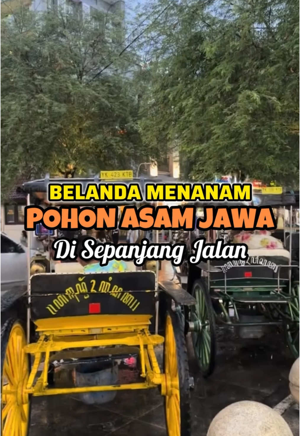 Penataan pohon di era kolonial Belanda  . #indonesia #sejarahindonesia #tempodoeloe #tempodulu #fyp #viral #viralindonesia 