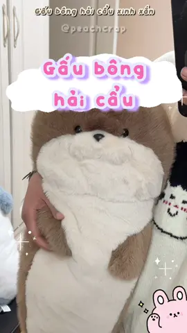 Gấu Bông Hải Cẩu Ôm Hải Cẩu 🎀✨🌿🌱🌷 #peachcrap #giftidea #gift #teddybear #seal 
