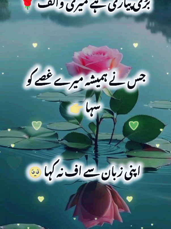 tik tok team don't undar view my video  #fyp#foryou#foryourpage#standwithkasmir#viralvideo#treandig#viewproblem#burhan_tv#1m#deeplines #poetry #urdushayari#shayari #100k 