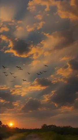 #CapCut صباح الخير ☀️ #flypシ #explorepage #احبكم_يا_احلى_متابعين #tiktok #foryou #Talia #TaliaBintAbuha #🎉_🥳__❤️_💐 