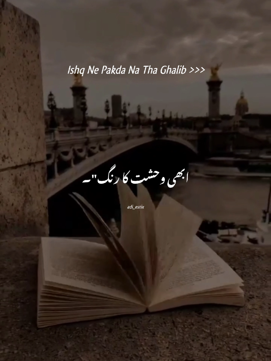 Ishq Ne Pakda Na Tha Ghalib>>> 🖤🌸🍂 #adi_estix #aestheticvideos #urdulyrics #foryou #fyp #grow #viralvideo #unfreezemyacount #onemillionaudition @TiktokPakistanOfficial @𝙎𝙝𝙞𝙯𝙪𝙚𝙨𝙩𝙞𝙘𝙭 ♡ @𝙅𝘼𝙏𝙄𝙄>🥂 