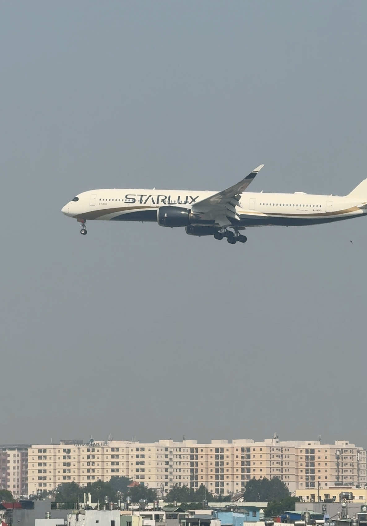 Airbus A350 Starlux🇹🇼 landed at Tan Son Nhat international airport for the first time🤩🤩 #airbus #a350 #starlux #taiwan #first #time #landing #tansonnhatairport #hochiminhcity #vietnam 