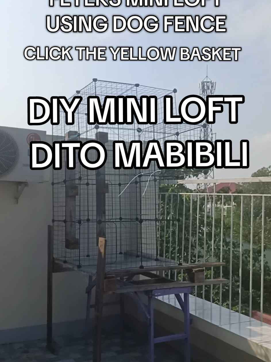 DITO MABIBILI MURA AT QUALITY NA MATERYALES PARA SA MINI LOFT #fyp #foryoupage #miniloft #loft #pigeonloft #kalapati #kalapatids #kalapatidsph🇵🇭 #kalapatids❤️ #racingpigeon #pigeon #DIY #racingpigeonph #fancier #fancier👌🕊 #cl #clrpc 