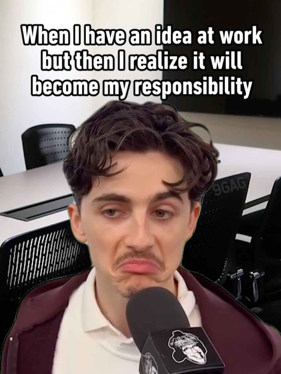 I'm not getting a raise anyway - #timothéechalamet #work #job #9gag