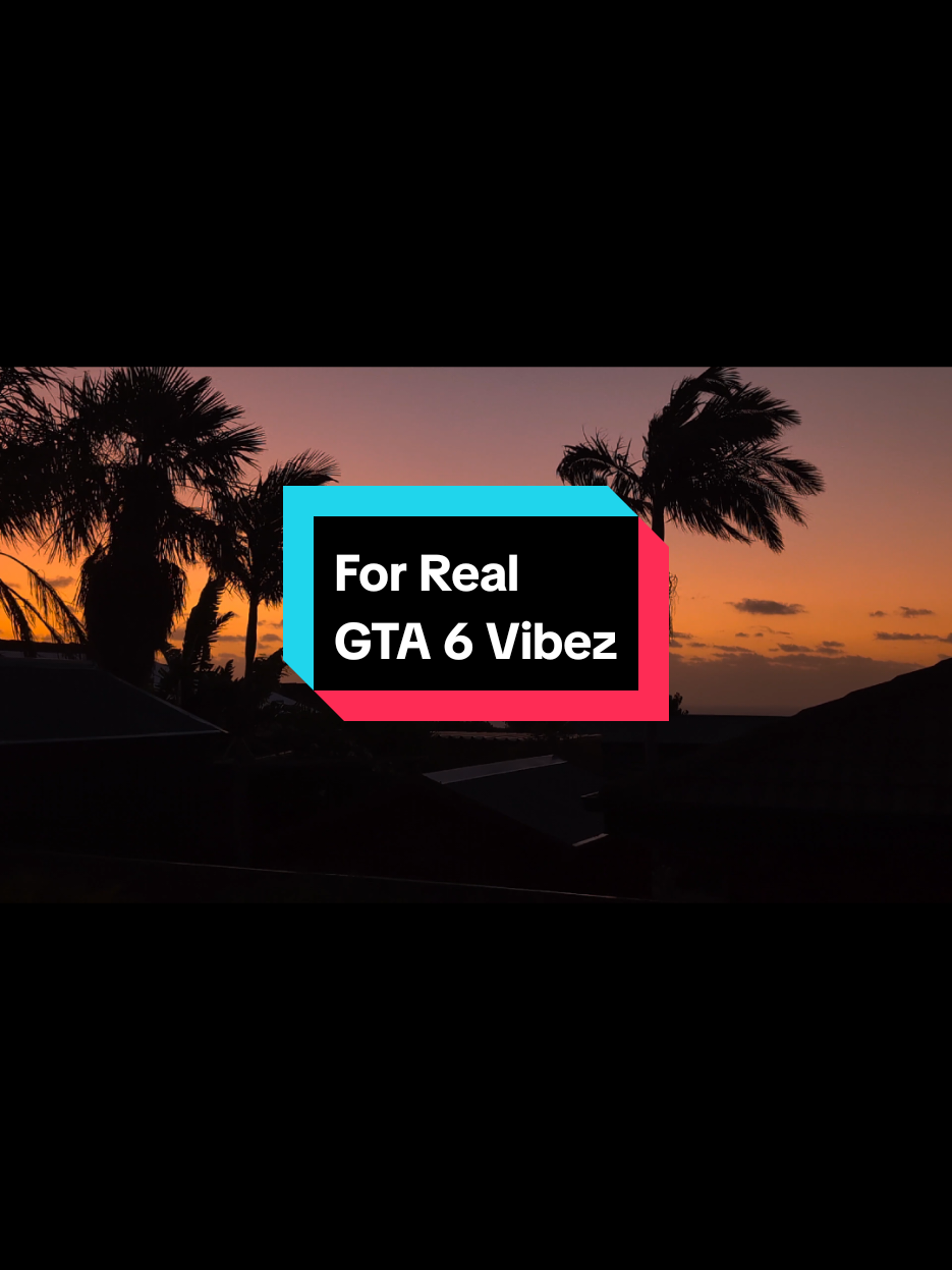 Real Life gta 6 backdrop #gta #gta6 #sunsets #palmtrees #gtav 