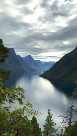 Norway’s fjords are stunning, with steep cliffs, clear waters, and lush landscapes.  #norway🇳🇴 #norway #nature #fjords #mountain #mountains #lake #norge #norwaynature 