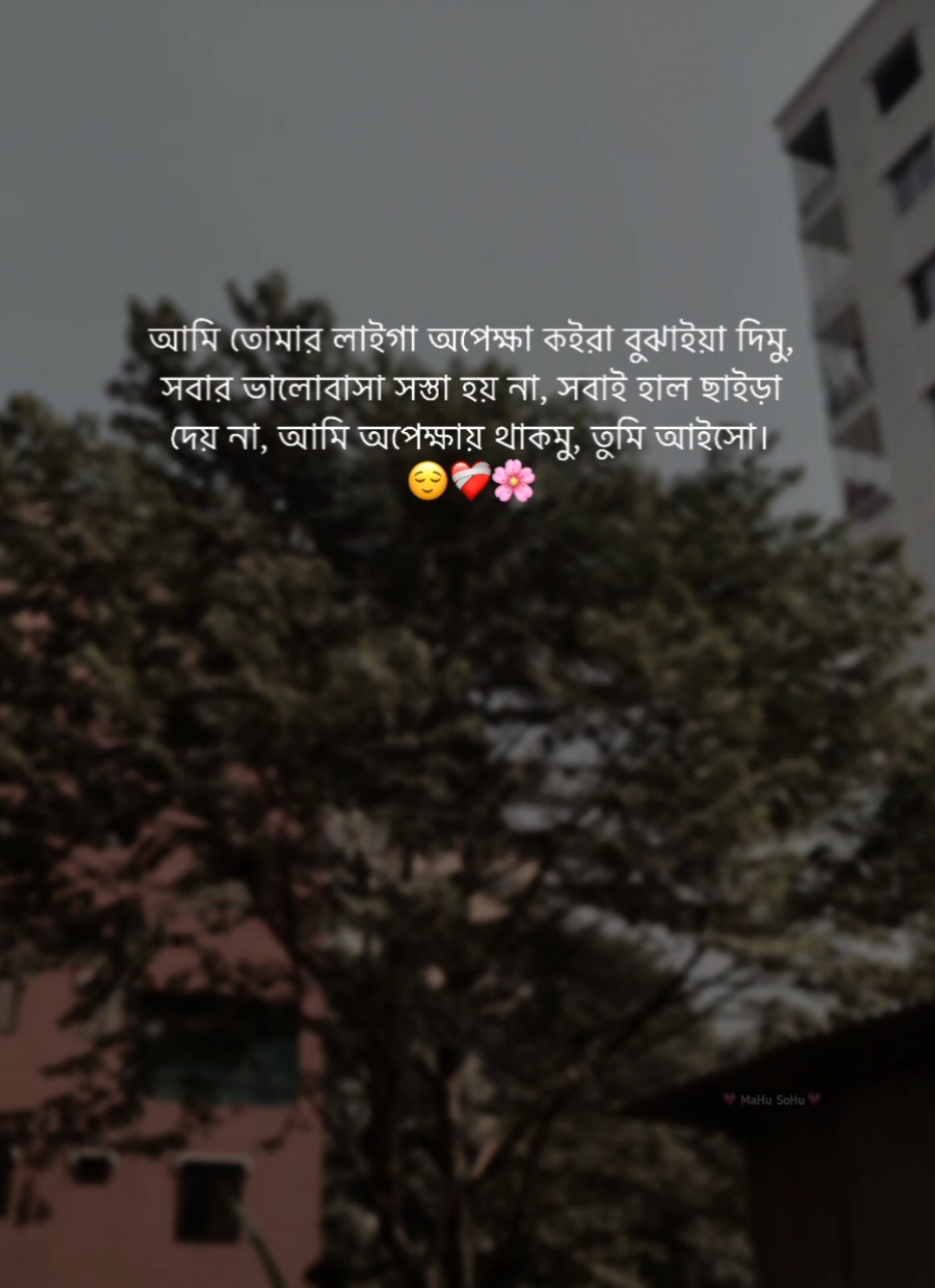 আমি তোমার লাইগা অপেক্ষা কইরা বুঝাইয়া দিমু, সবার ভালোবাসা সস্তা হয় না, সবাই হাল ছাইড়া দেয় না, আমি অপেক্ষায় থাকমু, তুমি আইসো, 😞❤️‍🩹🌸 #foryou #foryoupage #fyb #status  #caption #writer #mahu_sohu #viral #bdthiktok 