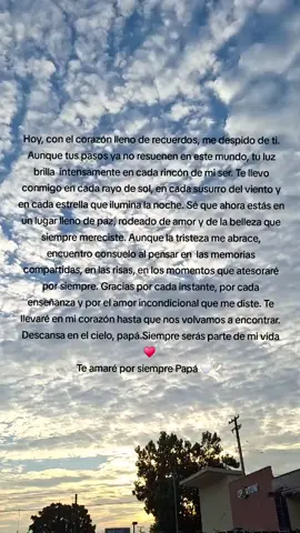 Hasta el cielo papá🥹 Te amaré por siempre 🤍