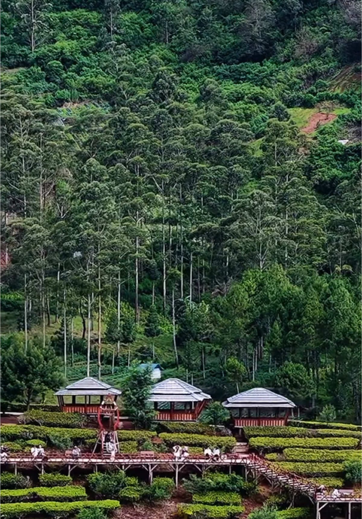 Gazebo 50K perjam kapasitas 20 orang  . . . #wwp #pangalengan #bandung #jawabarat #indonesia #viral #sound #sunda #fyp #merpati #elektrik #wayangwindupanenjoan  . . . 🎥 mang ded