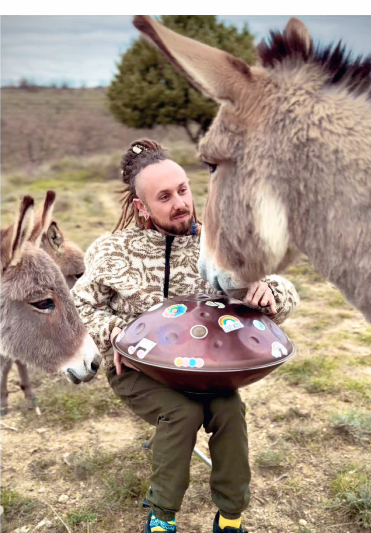 Commencer l’année entourés de nature et d’animaux, avec l’immense bonheur de retrouver ces adorables petits êtres 🫏❤️🥹 Toutes les vidéos arrivent très bientôt ! 😍 Un grand merci, du fond du cœur, à la famille @sard_anes pour votre accueil chaleureux et votre incroyable gentillesse. J’ai déjà hâte de vous retrouver au printemps et de partager un nouveau moment magique avec vous et vos merveilleux compagnons à poils 💚💜💛 Et vous, comment démarre votre année ? ⭐️ Je vous souhaite à toutes et à tous une semaine lumineuse et une année remplie de bonheur et de douceur ! ☀️ 👉🏻 Handpan Fa# Pygmy @ayasa_instruments 💜 Avec Amour, Warren 🌻🌿  Connecting through #HandpanMusic and #DonkeyLove, embracing the #HumanAnimalBond and #AnimalConnection, while finding peace in #MusicAndNature and #HarmonyWithNature—a true #MusicalJourney with #FurryFriends and the magic of #AnimalsAndMusic. #handpanvibes #handpan #donkey 