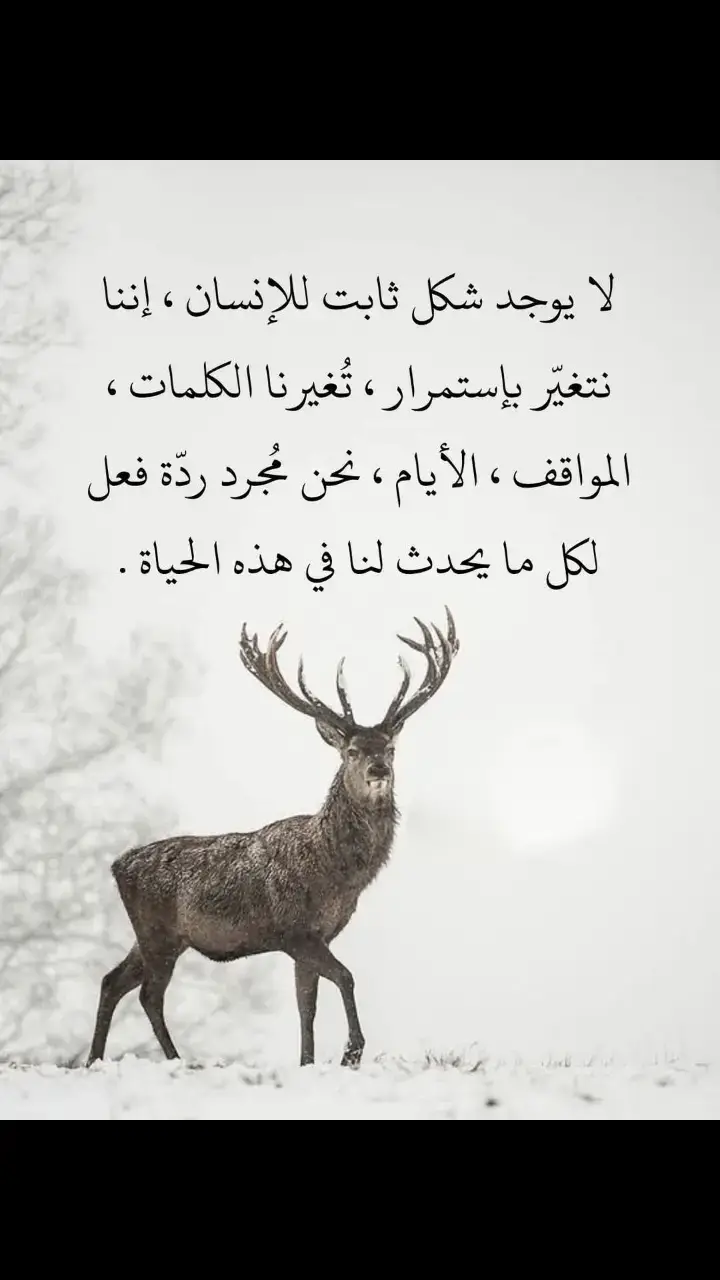 #أفلاطون #🎵🎻🎻🎻🎵 