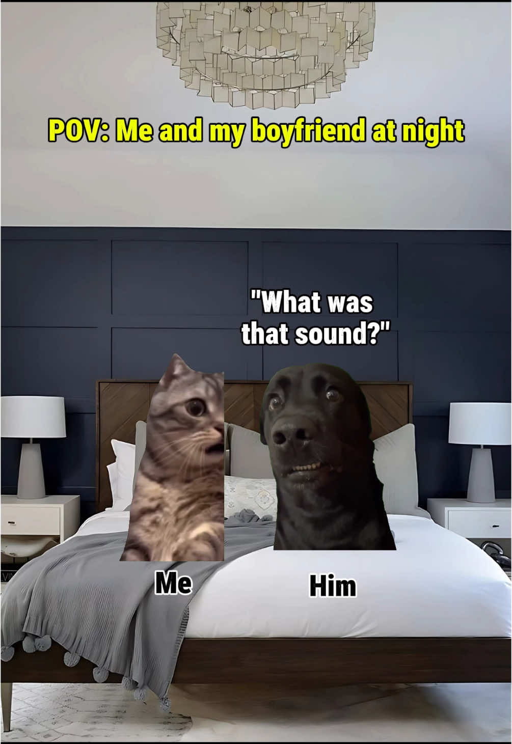 Me and my bf during the night, scary version 🥹 #catmeme #relatable #catsoftiktok #Relationship 