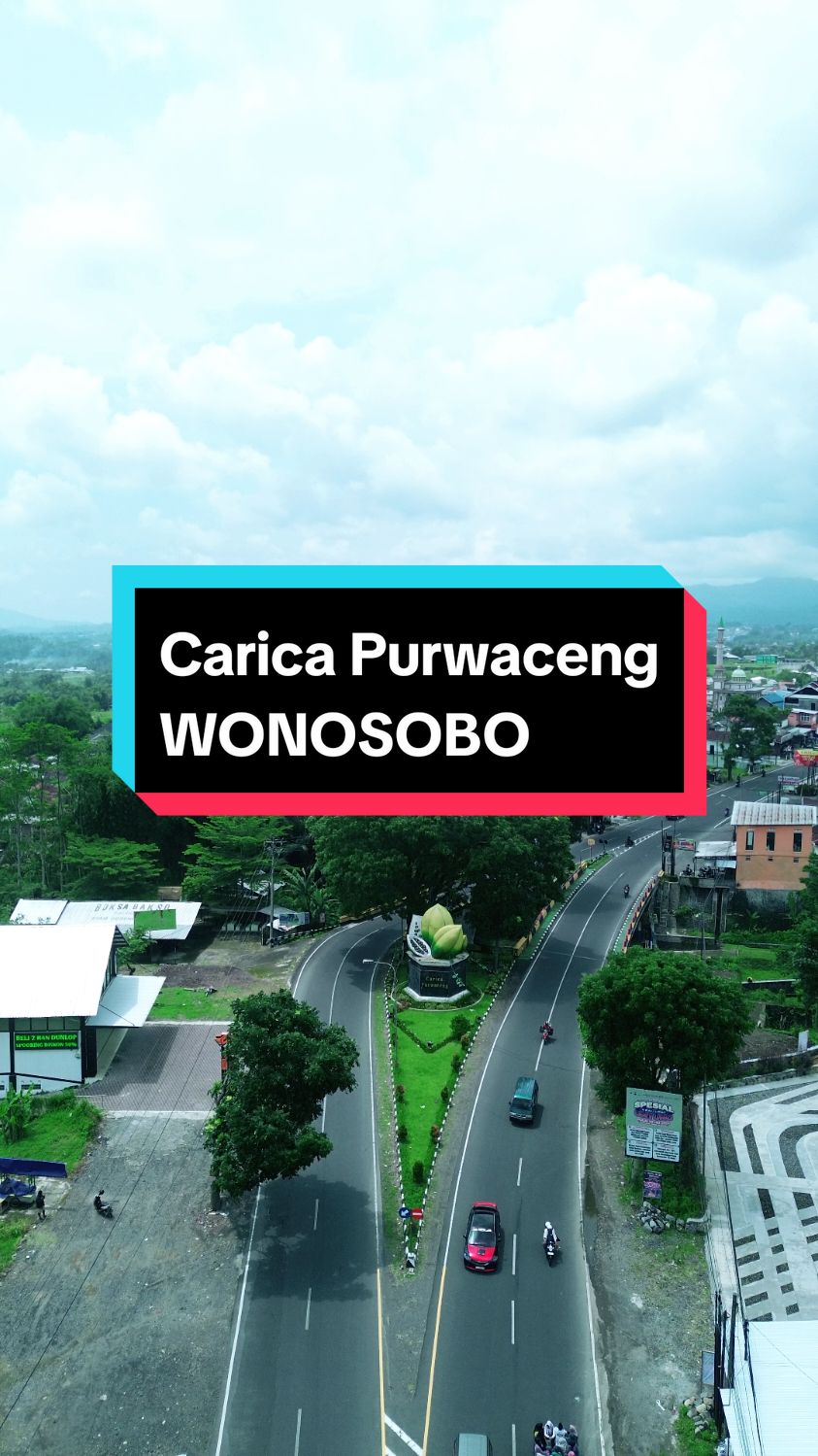 Carica dan Purwaceng khas Wonosobo. Udah disini aja. 📍Jembatan Carica Purwaceng, Wonosobo #wonosobo #wonosobo24jam #jembatan #dronevideo #fyp 