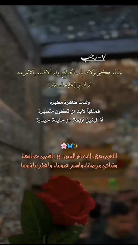 #مولدام_البنين #متباركين_يا_شيعة_؏ـلي🦋💕 #السلام_على_ام_الاقمار_الاربعة_ام_البنين #اكسبلورexplore #صعدو_الفيديو #لايكات 