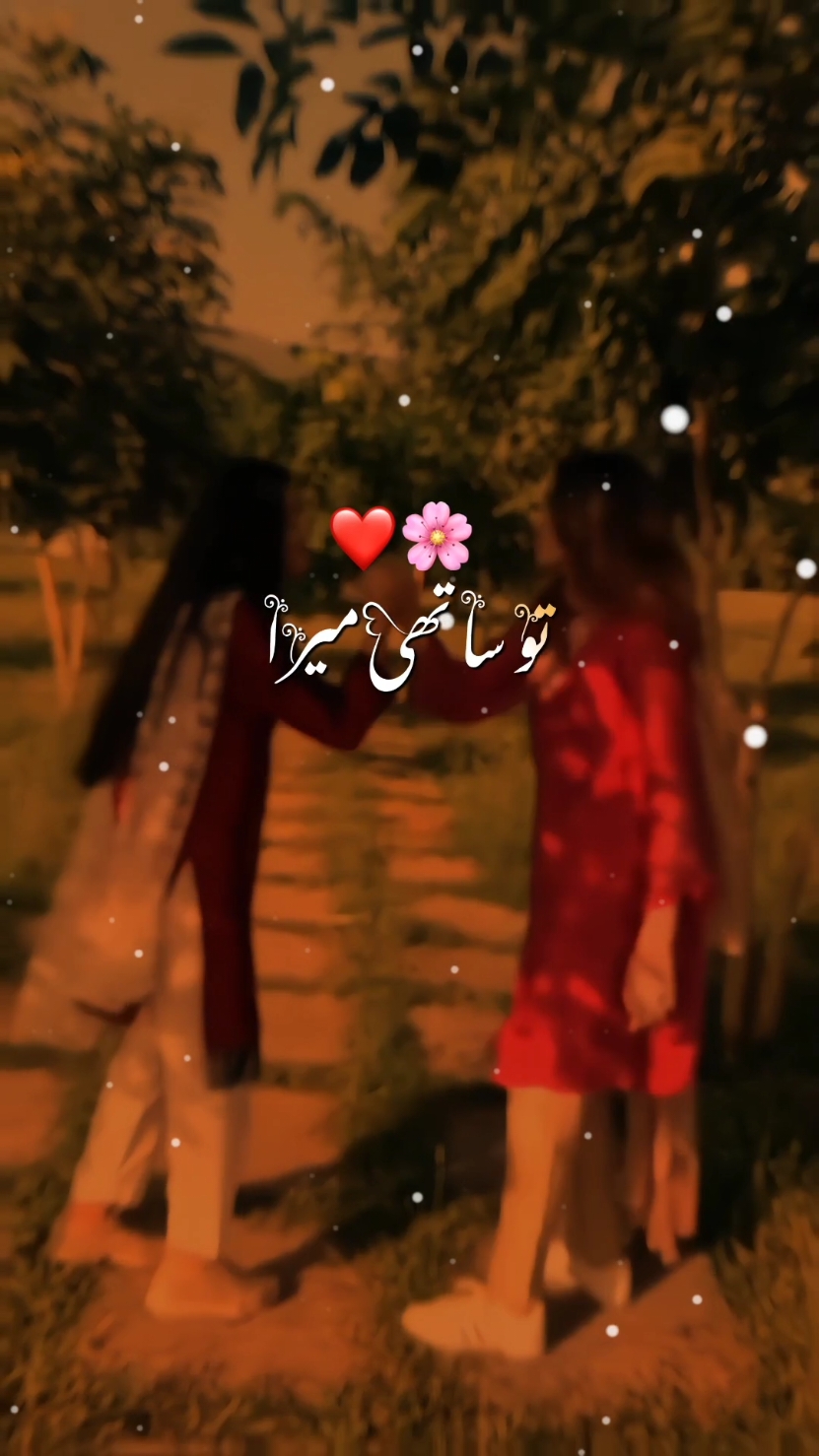 Oo Mere Yaar Tu Mera Piyaar |•• 🥰❤️🌍🤗🦋 |•• #song #romanticsong #foryoupage #dontunderview #fyp #viral_video 