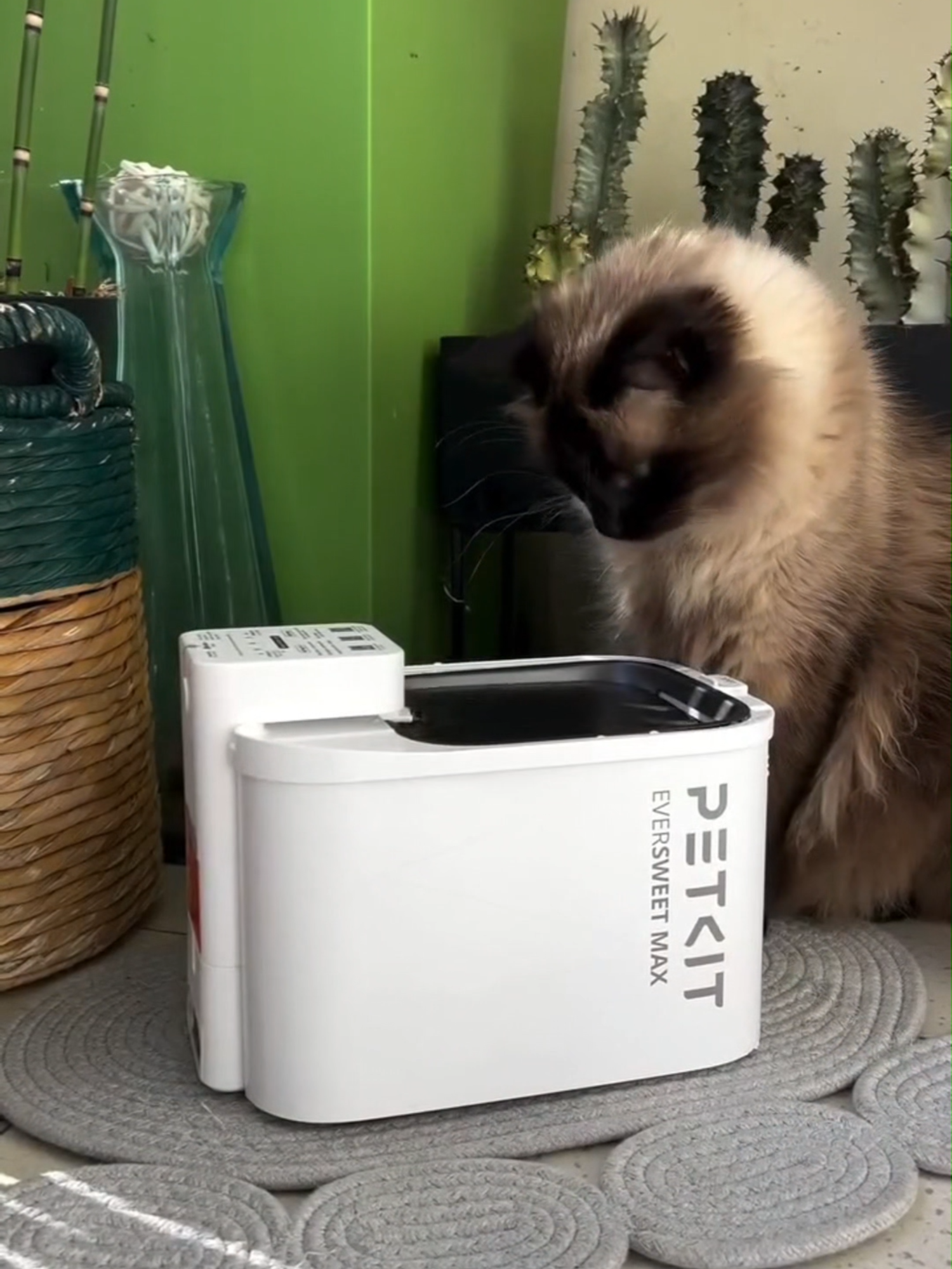 Máy lọc nước thông minh dùng Pin Petkit Eversweet Max #petkit #helipet #petkitvietnam #maylocnuoc #daiphunnuoc #thucung #meow #xuhuong