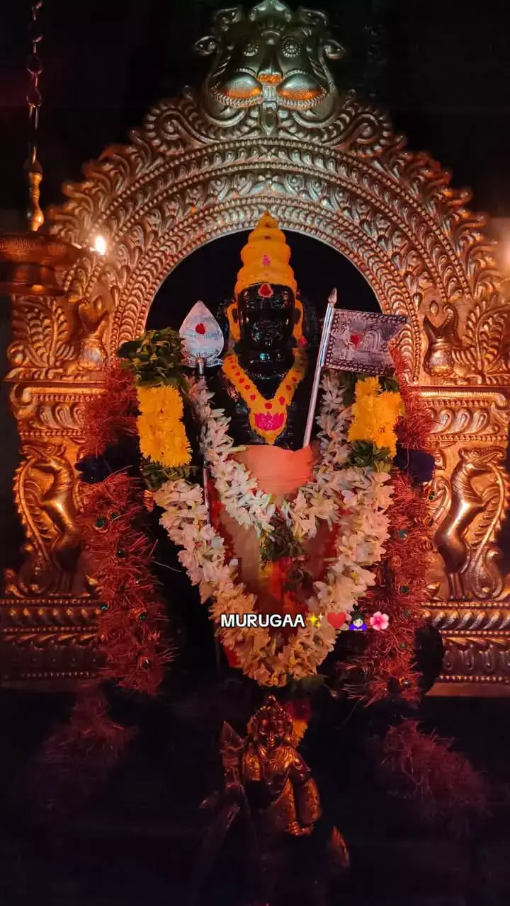 முருகன் துணை ✨❤️🙏 #malaysia #batucaves #kualalumpurmalaysia #Nallur #nalluran #Kanthasumai  #Temble  #devotional  #tamil  #muruganthunai  #NallurKandaswamyTemple #jaffna  #nallurkandaswamytemple #Chariot #nallurkandaswamykovil #nalluran #alangarakanthan #nallurmurugan #nallurkanthasuwamikovil #nallurfestival #JaffnaStudio #nallurkanthan #nallurkovil #nallurjaffna #nalluryazpanam #capital_tharisanam #shiv_eye_frame #அலங்காரகந்தன் #நல்லூர்முருகன்ஆலயம் #நல்லூர் #நல்லூர்முருகன்  #நல்லூர்அலங்காரகந்தன் 