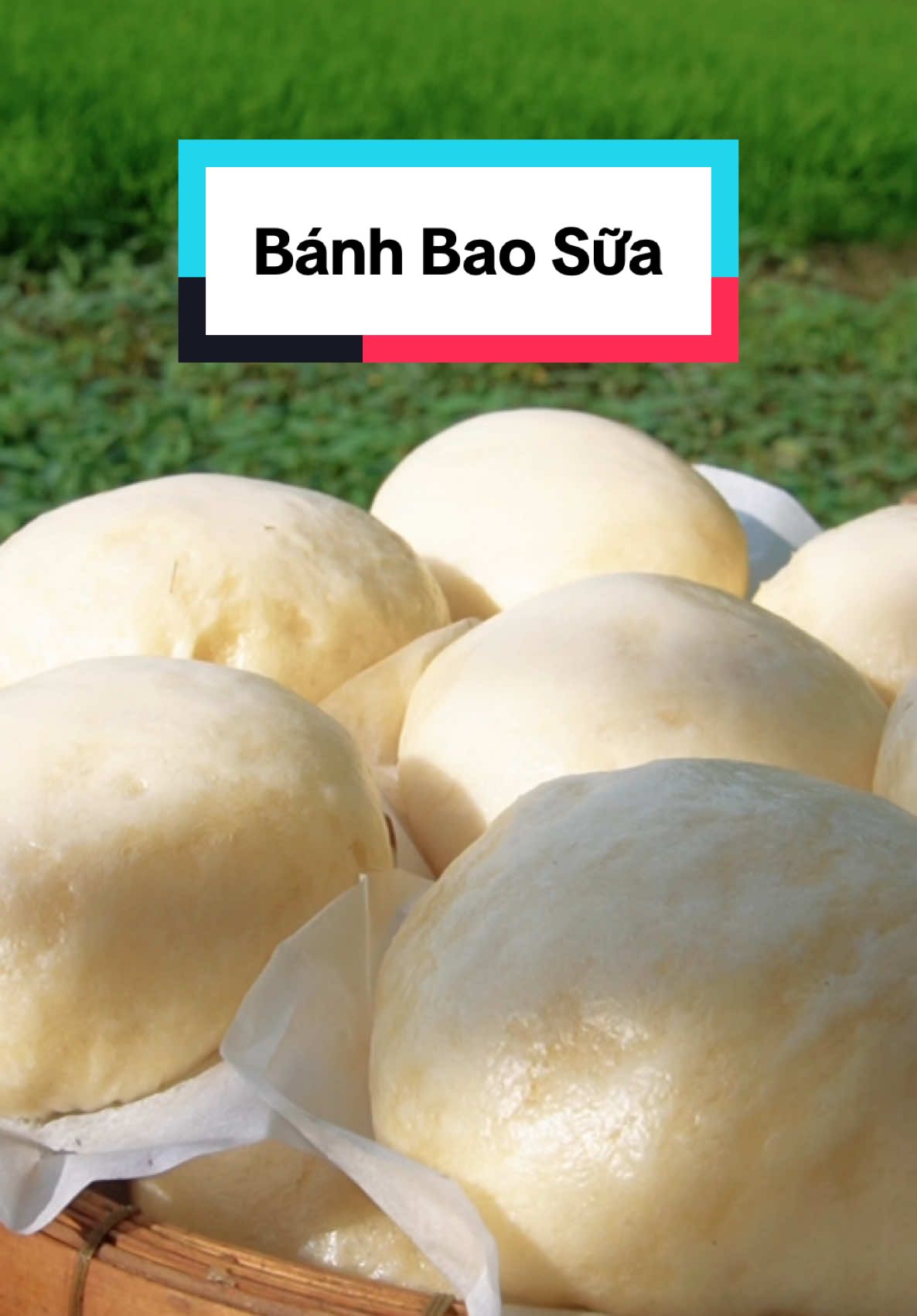 Bánh bao sữa không nhân #banhbao #mientay #nganoruong 