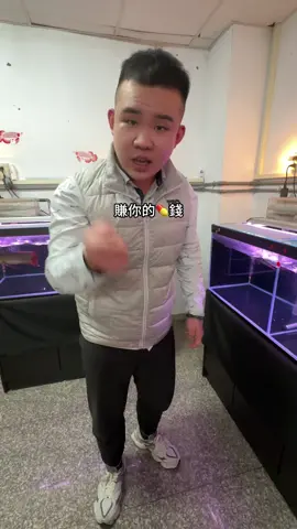 龍魚掉鱗找魚醫生 直接一次ㄙ3隻？！#哇喜文成 #精品 #龍魚 #招財 #紅龍 #水族 #寵物 #魚 #茶 