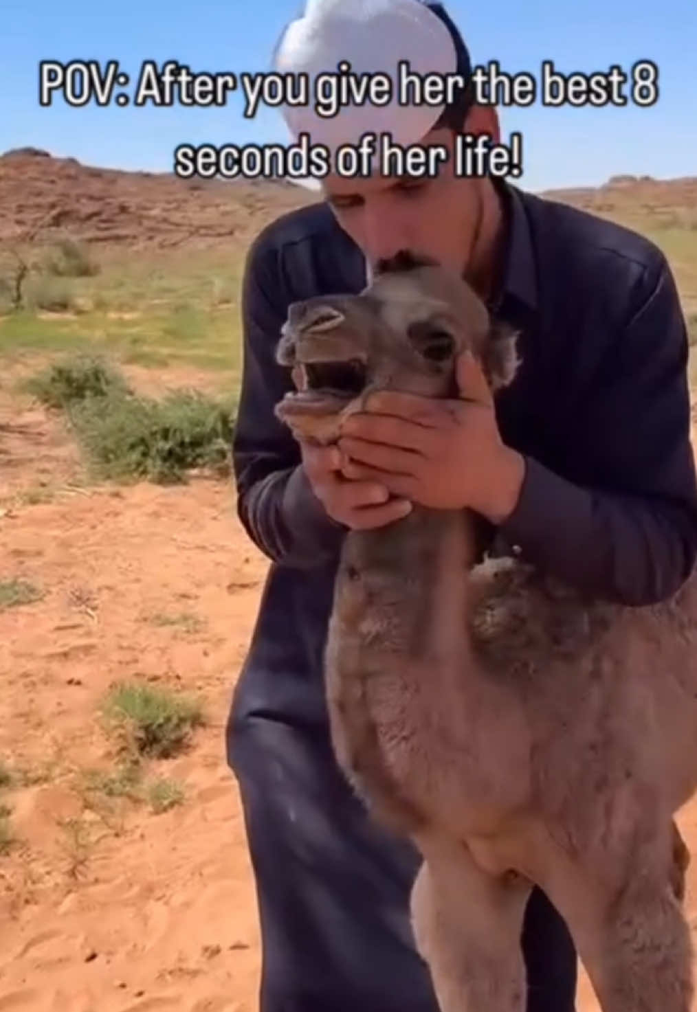 #camelcryingmeme #camel #crying #meme #camels #camelsoftiktok 