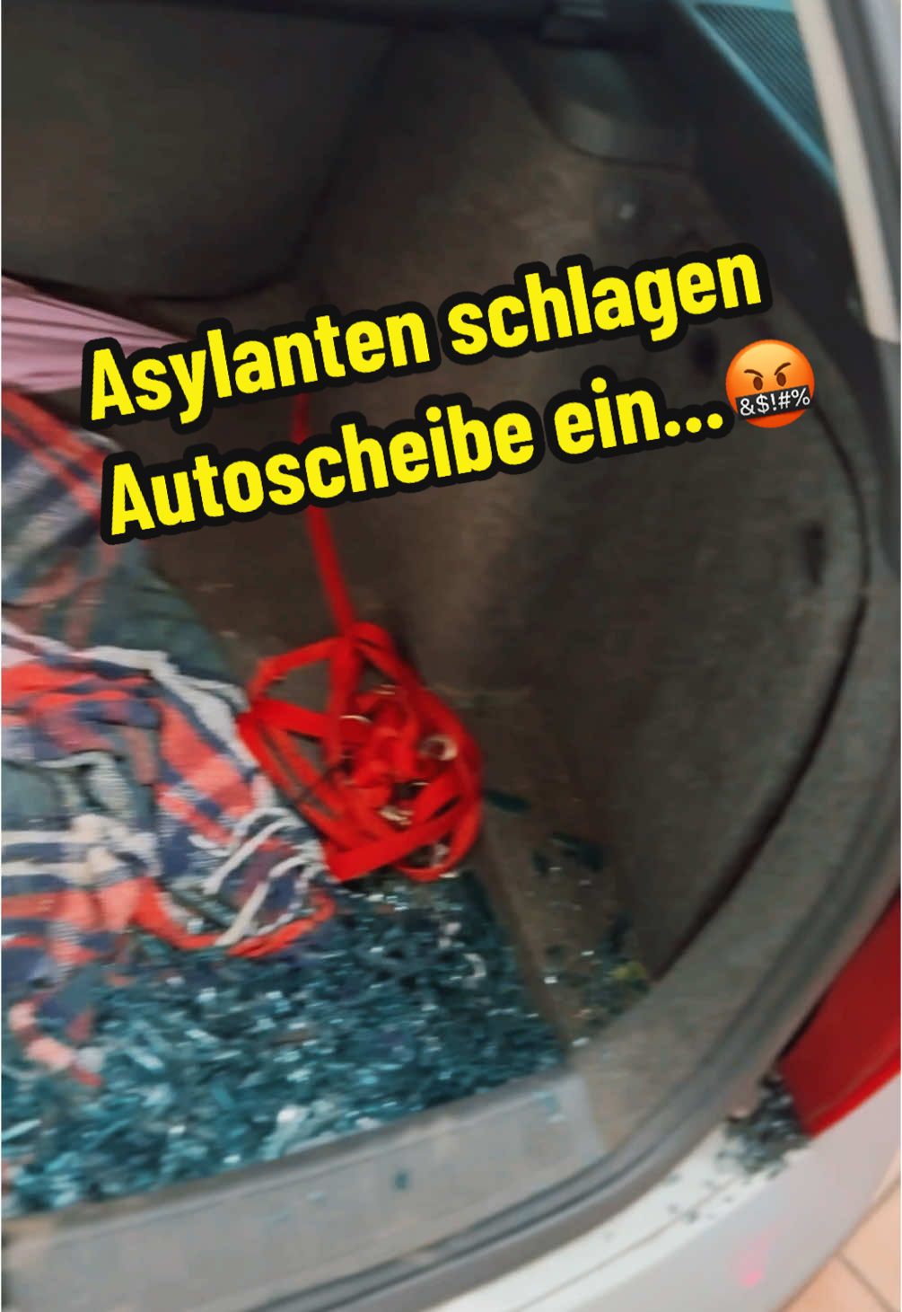 Super liebe Politiker!!! Weiter so...👏🏼🤝🏼 So wirst du um dein Eigentum gebracht, dank toller Migrationspolitik....🤯🤬 Hat jemand eine Scheibe? 😅🥹🙏🏼 #parasiten #migrationspolitik #flüchtlinge #pack #abnachhause #ausweisen #politik #skandal #vandalismus #ettingen #politiker #abschieben #keinekultur #affen #schweiz #einwanderung #einwanderungspolitik #bigproblem  