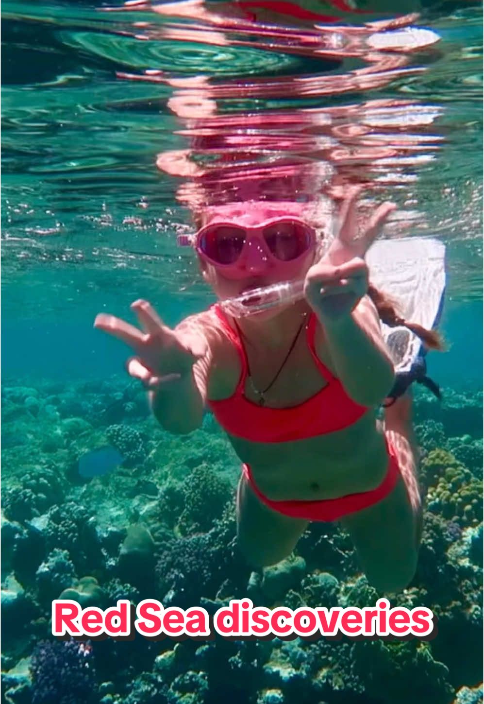 Red Sea discoveries 🪼🐡  #snorkeling #kawaiigirl #jellyfish #somabay