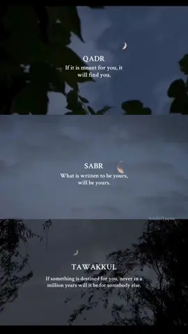 One day, we’ll leave this world. I pray what I share continues to benefit others as Sadaqah Jariyah, bringing light and closeness to Allah. -SoulfulTaqwa🕊️ #deenoverdunya #fyp #reminder #islamic_video #sabr #islamicreminders #umrah #makkah #islamic_video #muslimtiktok #masjidilharam #fyp #foryou #quranquotes #dawah #trustallah.