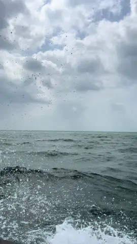 البحر 🌊🤍 #جازان #explor #البحر #محمد_عبده #اكسبلورexplore  