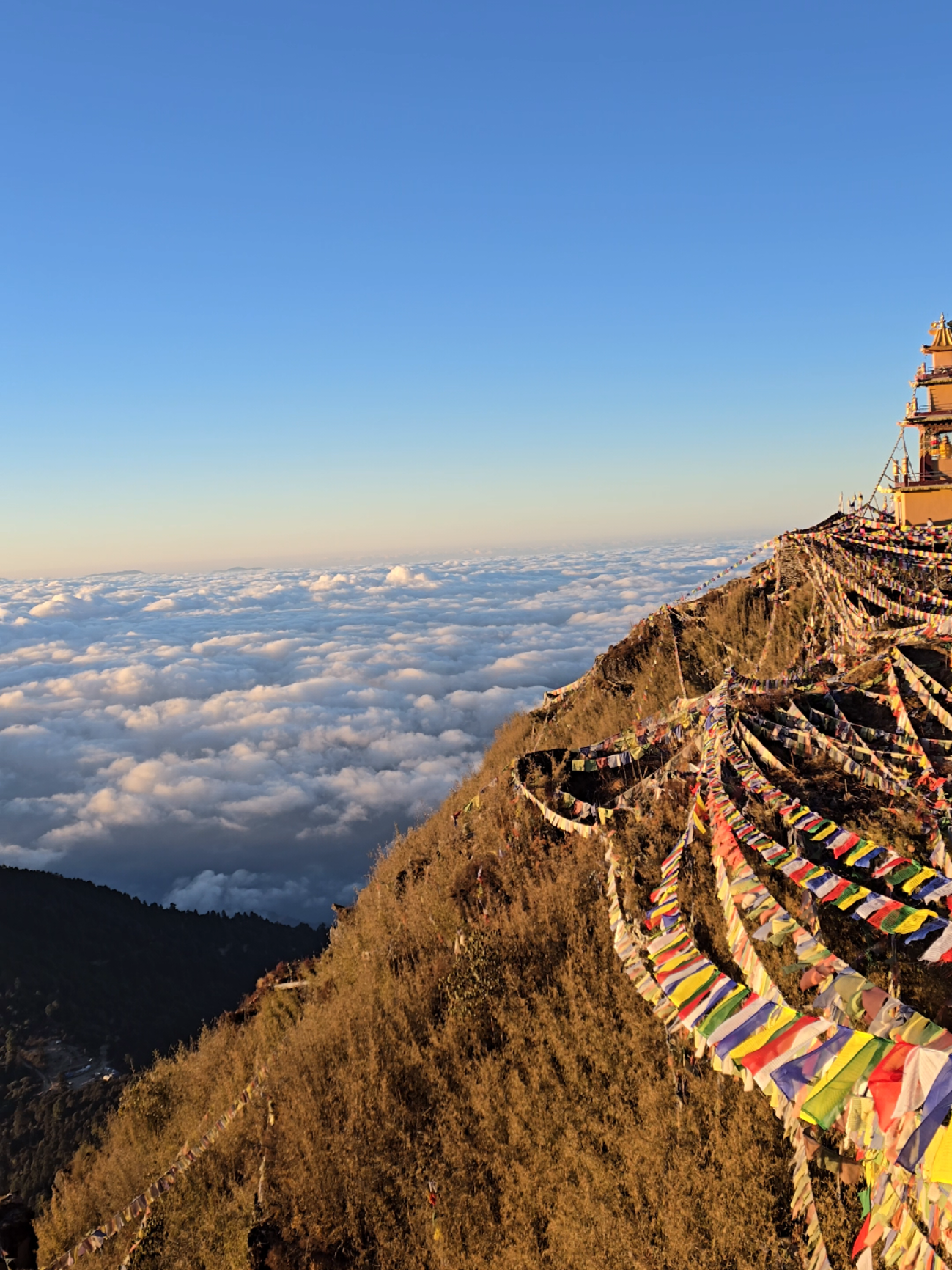 #amayangripeak #fyp 