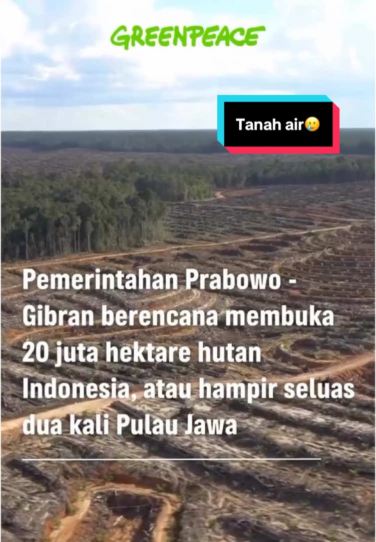 Menurut kalian gimana? #greenpeaceid 