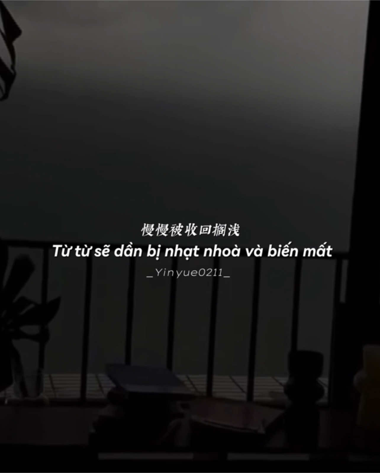 “Sau này, tình yêu của chúng ta, từ những ngày hạnh phúc rực rỡ, dần phai nhạt như màu nắng tắt cuối chiều, để rồi cuối cùng chỉ còn lại sự chán ghét, lạnh nhạt và xa lạ.” .                                  _                                                                 _  #nhactrungquoc #lyrics #vietsub #后来我们的爱 #tiktok #cover #yinyue0211 #tinhyeucuachungtasaunay 