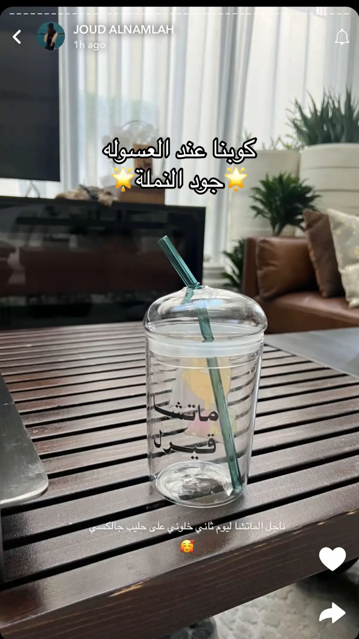 #يارا_نملة #ماتشا #اكسبلور 